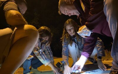 Your Halloween Season Adventure Just Got 10% Off! 